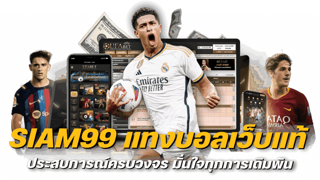 ประสบการณ์ครบวงจร